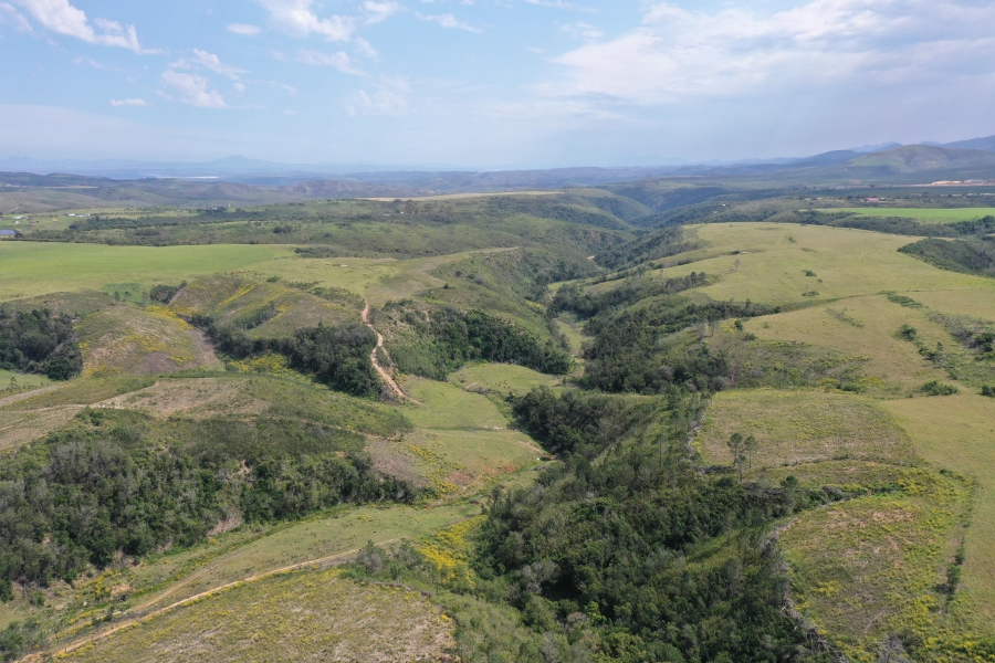 3 Bedroom Property for Sale in Thornhill Eastern Cape